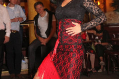 flamenco-night-19