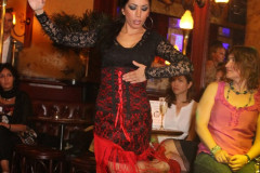 flamenco-night-38
